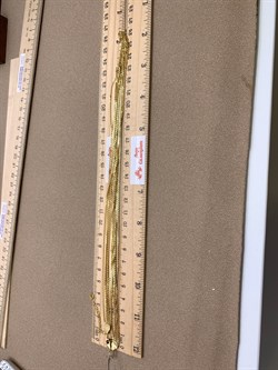 *Шейное украшение р.55-60 Якорь 6 рядов арт. 8100469-С883-01-(55-60)-386 Вес 11,62 г - фото 327434 *Шейное украшение р.55-60 Якорь 6 рядов арт. 8100469-С883-01-(55-60)-386 Вес 11,62 г - фото 327434
