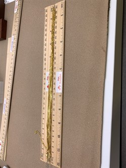 *Шейное украшение р.60-65 Якорь 6 рядов арт. 8100469-С883-01-(60-65)-384 Вес 12,33 г - фото 327439 *Шейное украшение р.60-65 Якорь 6 рядов арт. 8100469-С883-01-(60-65)-384 Вес 12,33 г - фото 327439