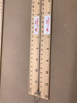 *Браслет р.18 Снейк арт. БП150УКА1ПгР-С888-272 Вес 2,06 г - фото 327946 *Браслет р.18 Снейк арт. БП150УКА1ПгР-С888-272 Вес 2,06 г - фото 327946