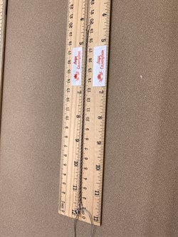 *Браслет р.19 Якорь вальцованный веревка арт. БЯ235ВА8ПгР-С888-118 Вес 1,33 г - фото 327977 *Браслет р.19 Якорь вальцованный веревка арт. БЯ235ВА8ПгР-С888-118 Вес 1,33 г - фото 327977