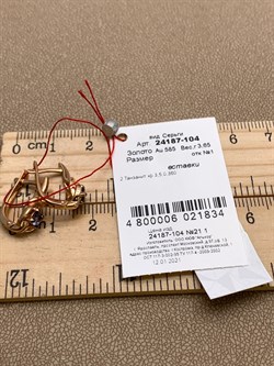 *Серьги Танзанит цв Красное арт. 24187-104-834 (вес 3,65 г) - фото 330077