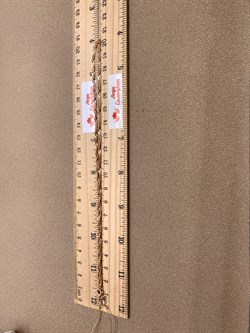 *Цепь р.40 Сингапур цв Красное арт. ЦП235СзА2-А51-014 (Вес 3 г) - фото 337311 *Цепь р.40 Сингапур цв Красное арт. ЦП235СзА2-А51-014 (Вес 3 г) - фото 337311