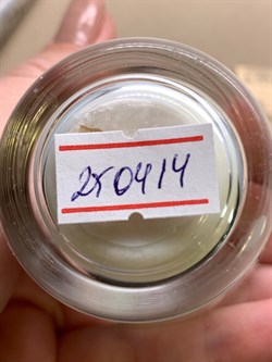 Свеча соевая янтарь лепестки арт 250414 вес 108,49 гр - фото 342746 Свеча соевая янтарь лепестки арт 250414 вес 108,49 гр - фото 342746