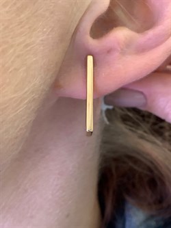 *Серьги цв Красное арт. 2004789-156 (вес 3,02 г) - фото 344800