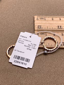 *Серьги Конго ТАНЗАНИТ АФРИКА цв Красное арт. 2100961315-810 (вес около 4,12 г) - фото 345164 *Серьги Конго ТАНЗАНИТ АФРИКА цв Красное арт. 2100961315-810 (вес около 4,12 г) - фото 345164