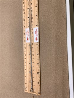 *Цепь р.45 цв Белое арт. ЦЯ150СА4гР-А588-165 (Вес 3,95 г) - фото 346341