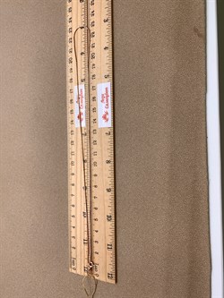 *Цепь 45 см. цв Красное "СНЕЙК" арт. ЦП135УКА1П-А51-092 (Вес 3,99 г) - фото 346566 *Цепь 45 см. цв Красное "СНЕЙК" арт. ЦП135УКА1П-А51-092 (Вес 3,99 г) - фото 346566