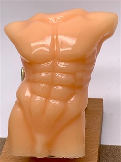 Торс мужской арт 072625 Бежевый вес 131,46 гр Украшение для интерьера Ручная работа - фото 346836