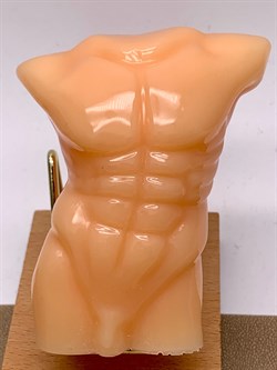 Торс мужской арт 072625 Бежевый вес 131,46 гр Украшение для интерьера Ручная работа - фото 346839