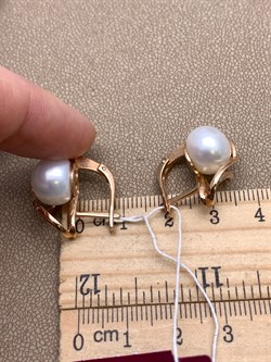 *Серьги Белый Жемчуг д.11-11,5 цв Красное арт. 2.0902.0.b-902 Вес 8,65 г - фото 347402 *Серьги Белый Жемчуг д.11-11,5 цв Красное арт. 2.0902.0.b-902 Вес 8,65 г - фото 347402