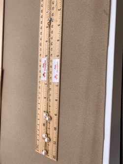 *Ожерелье р.50 Белый Жемчуг д.7-8 цв Лимонное арт. 6.0005.y.m-146 Вес 5,5 г - фото 347570