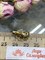 *Серьги Аквамарин цв Лимонное арт. 565с-031 вес 2,64 г - фото 101642