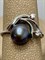 *Кольцо р.18,5 Черный Жемчуг д.8-8,5мм арт. 1.0482.0.b-018 Вес 2,62 г - фото 246989 *Кольцо р.18,5 Черный Жемчуг д.8-8,5мм арт. 1.0482.0.b-018 Вес 2,62 г - фото 246989
