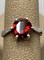 *Кольцо р.16,5 Гранат арт. 3937003120-317 Вес 1,7 г - фото 294566 *Кольцо р.16,5 Гранат арт. 3937003120-317 Вес 1,7 г - фото 294566
