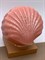Шкатулка ракушка арт 073025 Пудровый вес 126,42 гр Украшение для интерьера Ручная работа - фото 346850